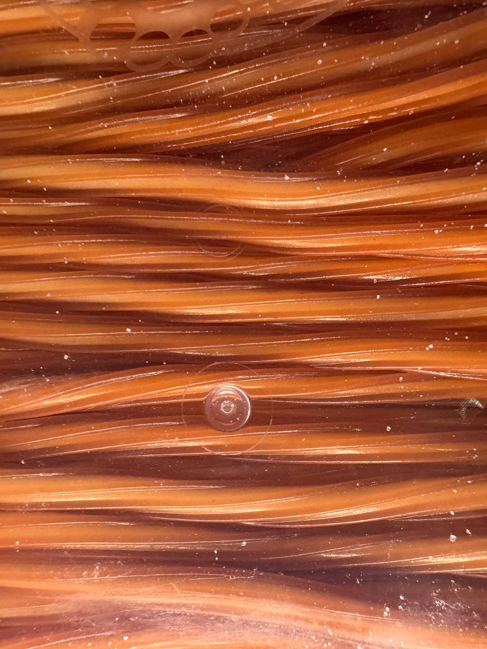 Fini gefüllte Eiscreme-Twist (Einheit)