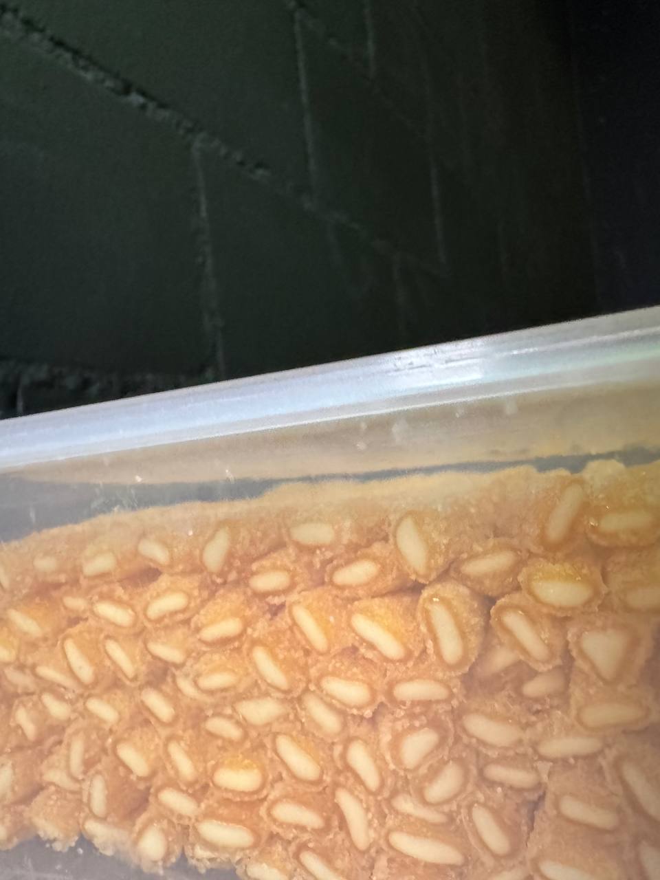 Fini Rellepica Mango (Einheit)
