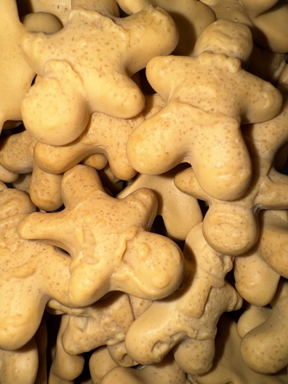 Lebkuchenschaumplätzchen (Einheit)