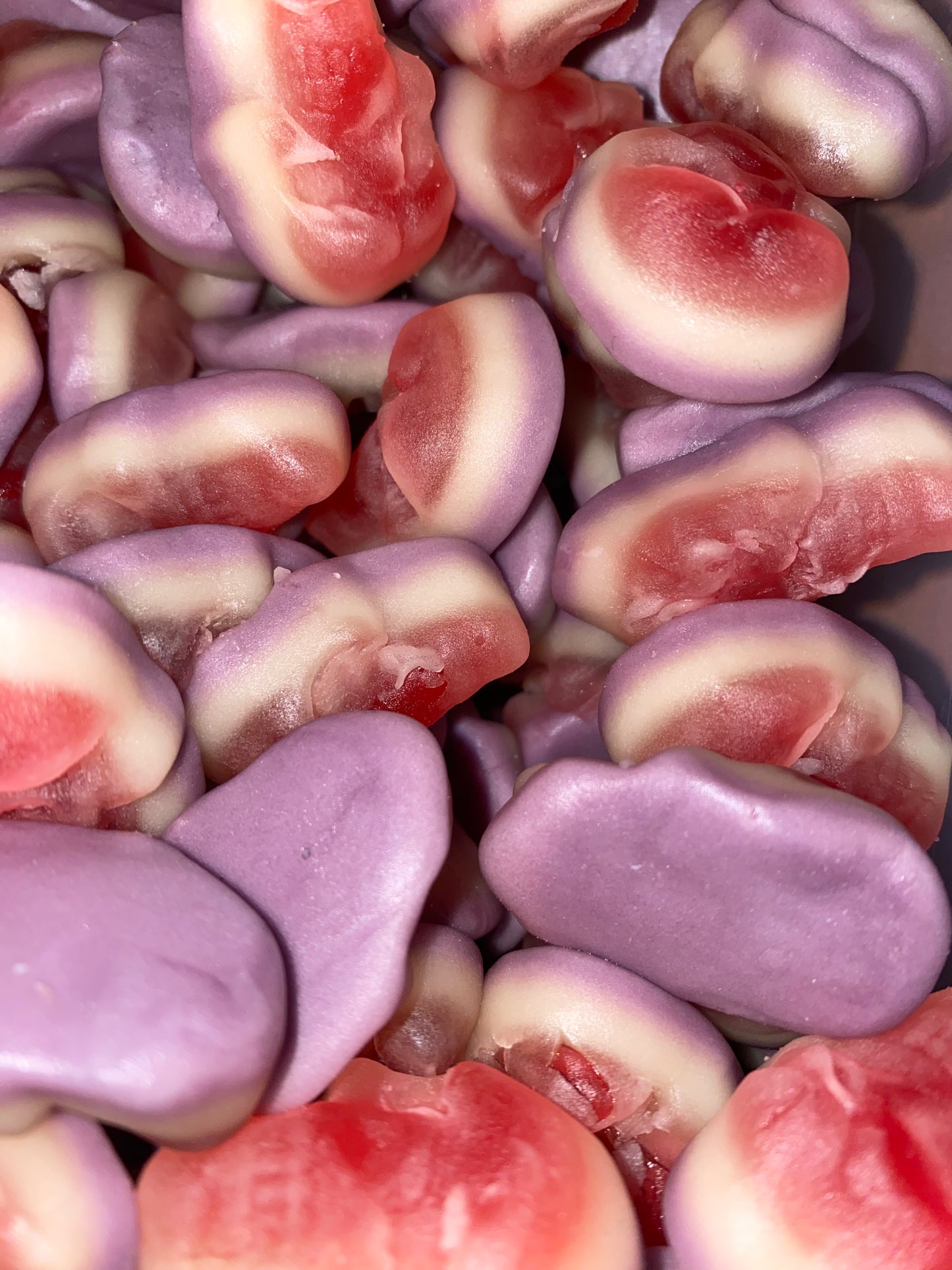 Fini gefüllte Schädel